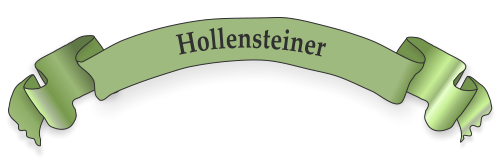 Hollensteiner