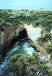 Blowhole