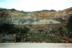 Gibson Steps