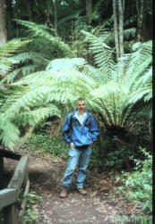Melba Gully