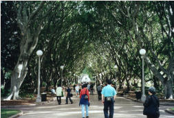 Hyde Park