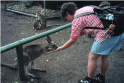 Featherdale Wildlife Park