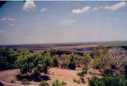 Windows of the Wetland