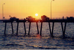 Angeln bei Sunset