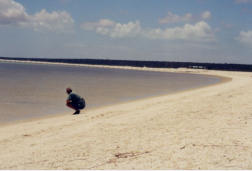 Seashell Bay