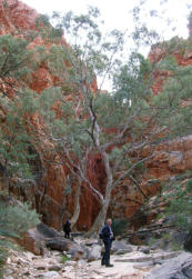 Standley Chasm