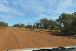 Mereenie Loop Road und Kamele