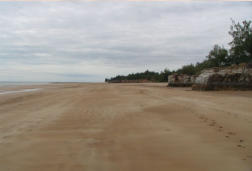 Casuarina Park