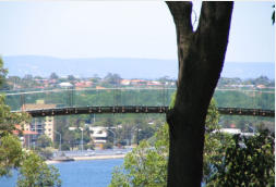 Glasbrcke im Kings Park