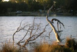 Am Swan River