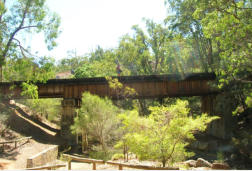 John Forest NP
