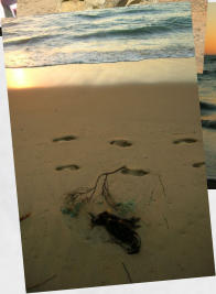 Binningup Strand