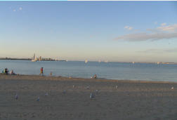 Strand Delfin