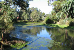 Collie River