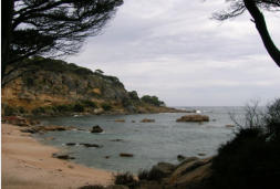 Shelly Beach