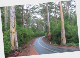 Beedelup NP