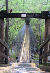 Beedelup NP