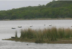 Inlet