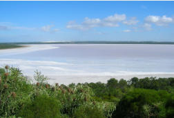 Scenic Drive Pink Lake