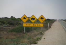 Australian Bight Marine Park