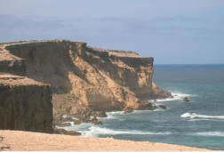 Cape Bauer