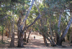 Wilpena Pound