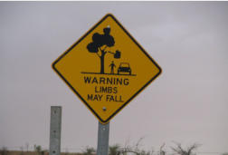 Limbs May Fall