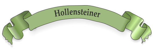 Hollensteiner