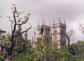 Abbey