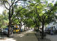 Funchal