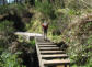 Levada Nova