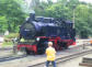 Der rasende Roland