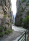 Aareschlucht